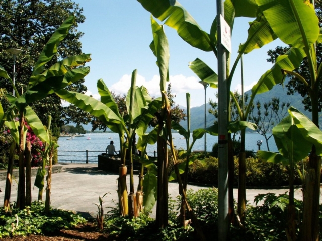 LocarnoQuai