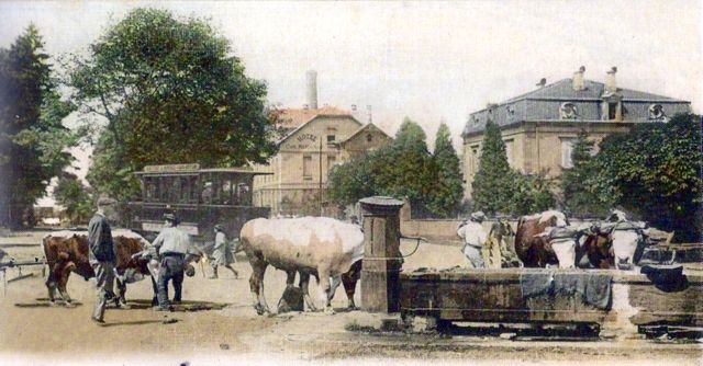 Vallée de Celles Automotrice Purrey Raon l'Etape Avenue de la Gare