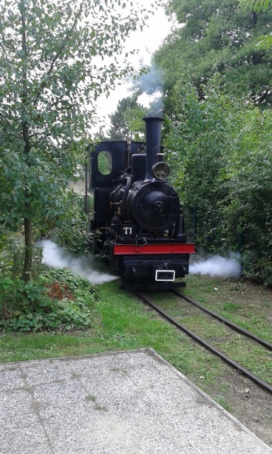 Les Chanteraines le 6 septembre 2015 2