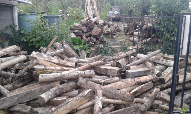Bois Septembre 2015