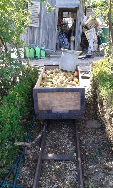 1 Wagon plein