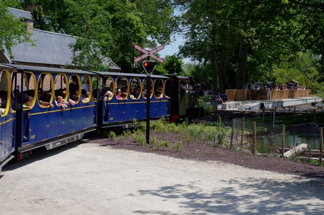 29 Retour en Gare Pairi Daiza 14.06.15