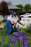 4 CFBS 28.05.16 Le Crotoy 12h30 14h30 L'Amiral des Fleurs