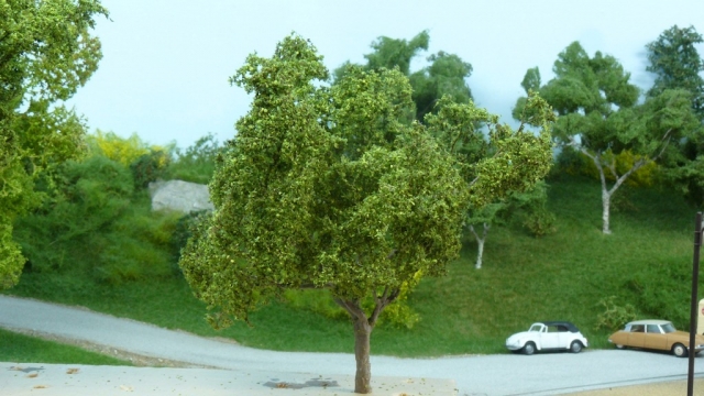 10-Arbre bruni termine