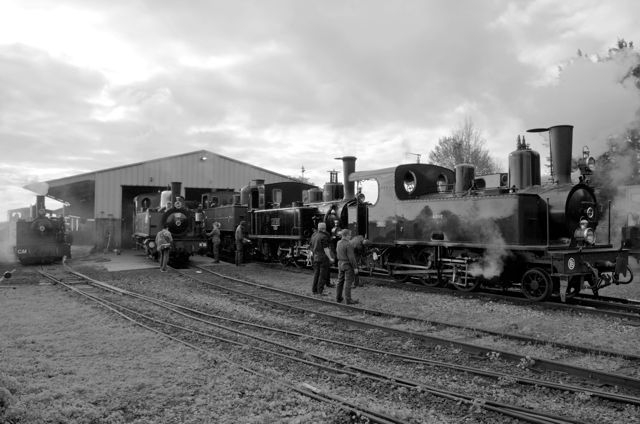 9 CFBS Fete Vapeur 2016 Depot Locos Métriques