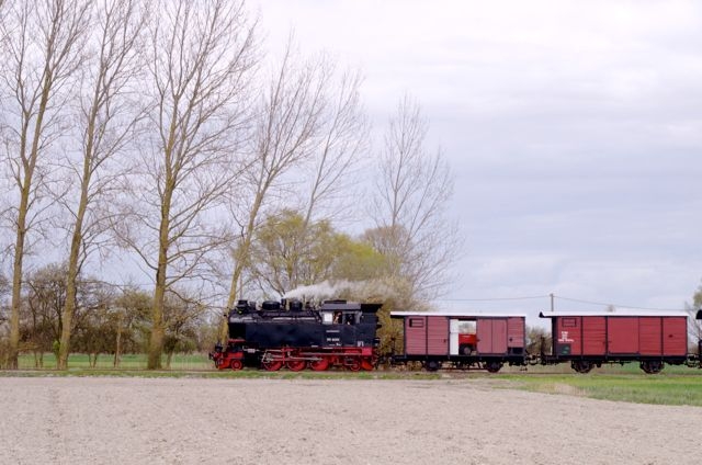 05 CFBS Fete Vapeur 15.04.16 AR 86 Ligne du Crotoy vers Noyelles 131T HSB
