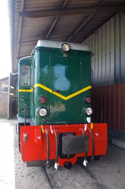 03 CFBS 16.06.21 DRACOLA VERT
