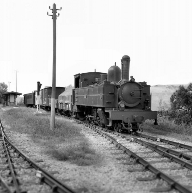 Pempoul 230T RB Gravett NB