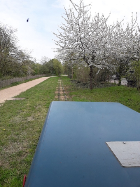 Dimanche 07-04-19