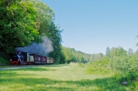 07 Trains et commémoration APPEVA 50 ANS 13.06.2021 Cappy Arrivée Train des Officiels Comité d'Accueil