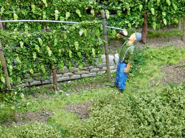 04 Ma Cave à Vins 1:35  MBFJ RAMMA 2017