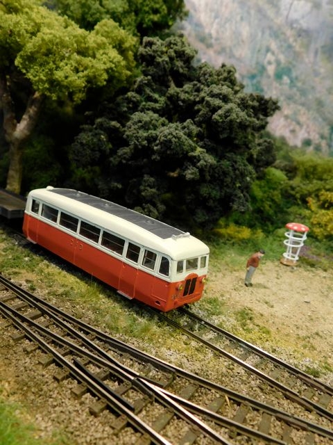 02 CFV Vivarais HOm (Pont des Etroits, Arlebosc, Colombier-le-Vieux)  Modelspoorteam Demaaslijn