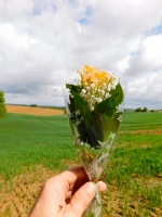 1er mai 2020 Muguet Chance et Bonheur
