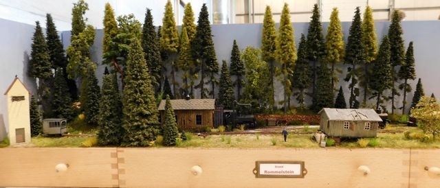 01 Waldbahner (Réseau Forestier) HOe Bernd IrionExpo Lille TrainsMania 04.05.19