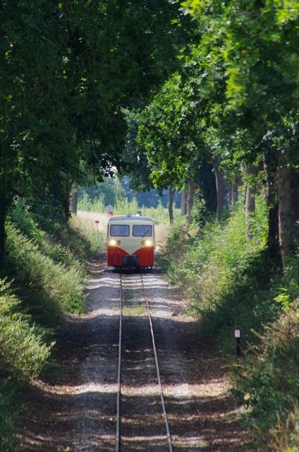 03 CFBS 15.08.22 Fete Gare Cayeux Autorail