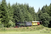IMG 3619