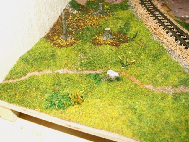 Vegetation