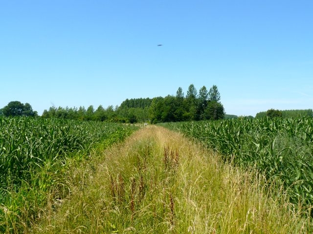 08.2 Trosly-Loire Plateforme de voie