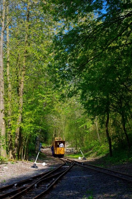 APPEVA 100 Ans Tramway Forêt 04.0516