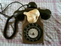 ail-phone-L-1.