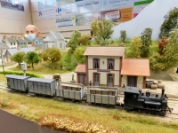 06 Dédale Normand Grandes Petites Dalles Hervé Clépoint Trains d'Antan Rame Marchandise TS TIV Meursault 2022