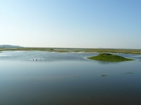 01 BAIE SOMME GRANDE MARÉE