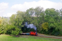 07 ASVI 22.09.30 50 ANS - Trains des Photographes sur le Ravel - Pature 130T Corpet 14h21