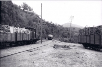 CFD Lozère Saint-Hilaire de Lavit Train de Bois Billard A80d Avant 1961 Photo François Fontaine