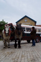 05 CFBS Fête de la Gare de Cayeux 06.07.14 Caléche