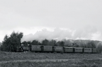 20 CFBS 19.10.13 Rame Somme Bois Verni Homogène (Noir et Blanc)