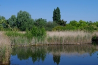 1 CF Chanteraines ET non pas la baie de Somme