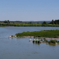 04  CFBS 30.06.15 Digue Le Lac des Cygnes