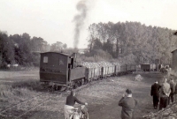 Neuilly Saint Front oct. 1959 Trains de Betteraves Gare CSA Coll Pérève