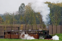 11 Pairi Daiza 23.10.15 040T DFB Eléphants