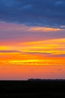 07 CFBS 17.07.15 Lumières de la Baie de Somme