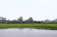 11 CFBS 28.05.16 Cygnaux et Train, entre marais et bocage