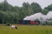 04 CFBS Fête Vapeur 21.06.27 TUBIZE HL 303