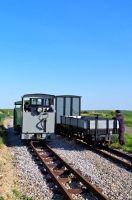 8 APPEVA 100 Ans Double Traction Galloise Simplex Mary Ann + Baldwin 50HP Moelwyn