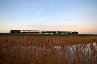 14 CFBS 11.12.16 Train de Noel Locotracteur 351 Saint Valery-Noyelles