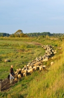 19 CFBS 18.09.15 Fête du Patrimoine