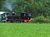 06 CFBS 04.07.20 Anniversaire Trains des 49 Ans sur la ligne du Crotoy