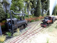 10.1 Waldbahner (Réseau Forestier) HOe Bernd IrionExpo Lille TrainsMania 04.05.19