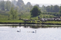 02 CFBS 30.05.21 Des Trains dans le Paysage