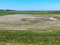 00 Baie de Somme Sécheresse