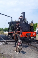 21 Cail Remise Chien Gardien Steam Punk CFBS 23.06.11