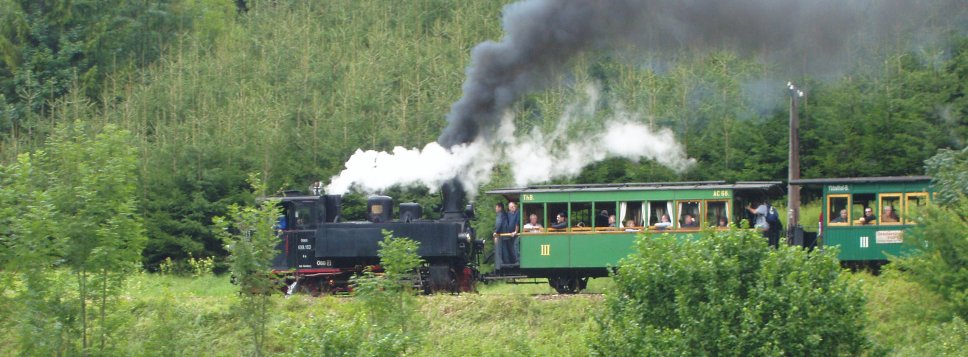 La 699.103 asure un train spécial Lunz am See - Kienberg-Gaming sur l'Ybbstalbahn BergStrecke