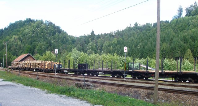 La gare d'Opponitz coté Waidhofen avec une rame de wagons chargés de grumes