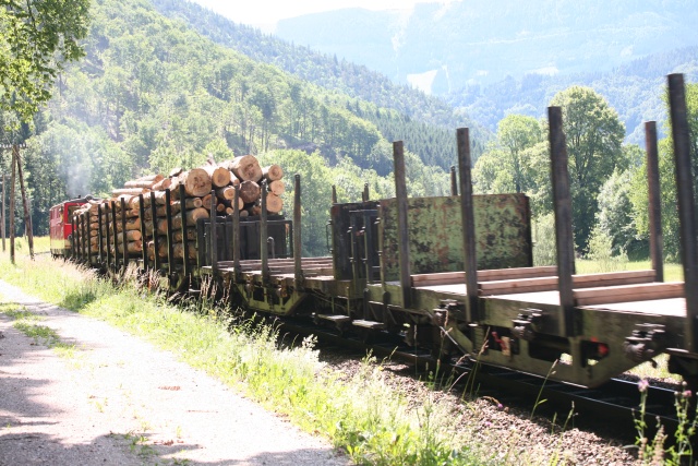 Carractéristique de la ligne le train de bois emmené par la 2095.007 approche de Großhollenstein